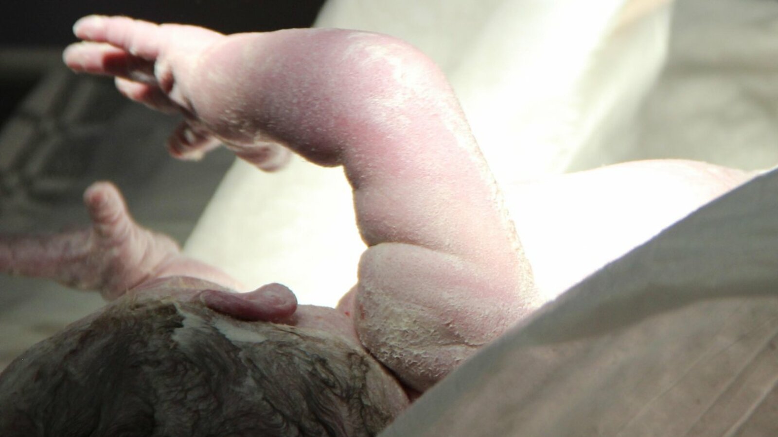 Ксения Калинина