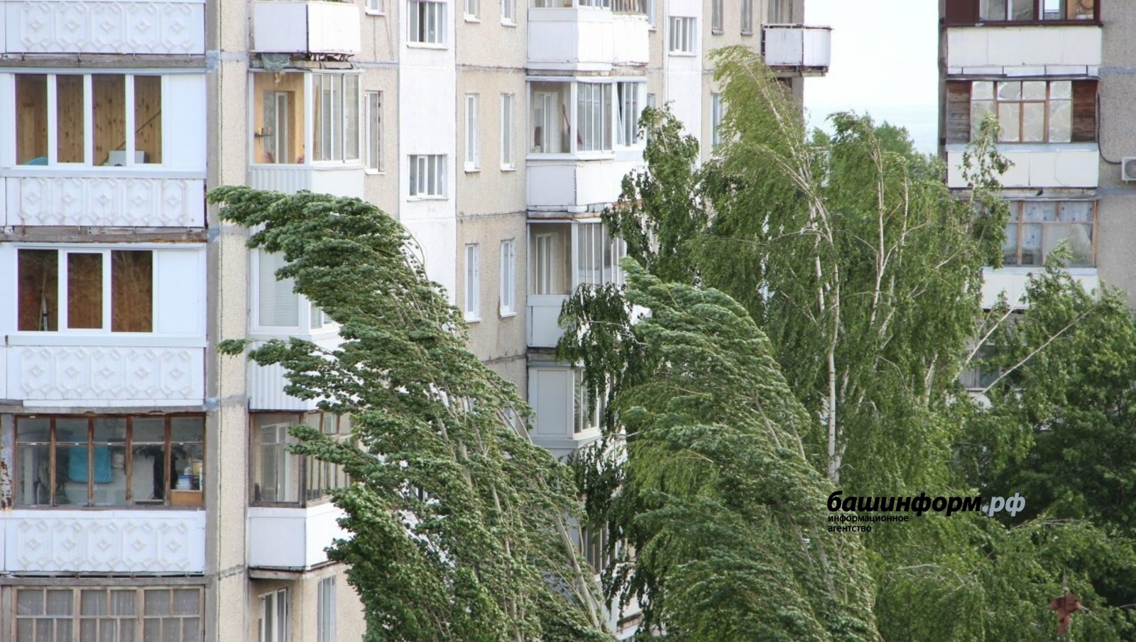Ксения Калинина