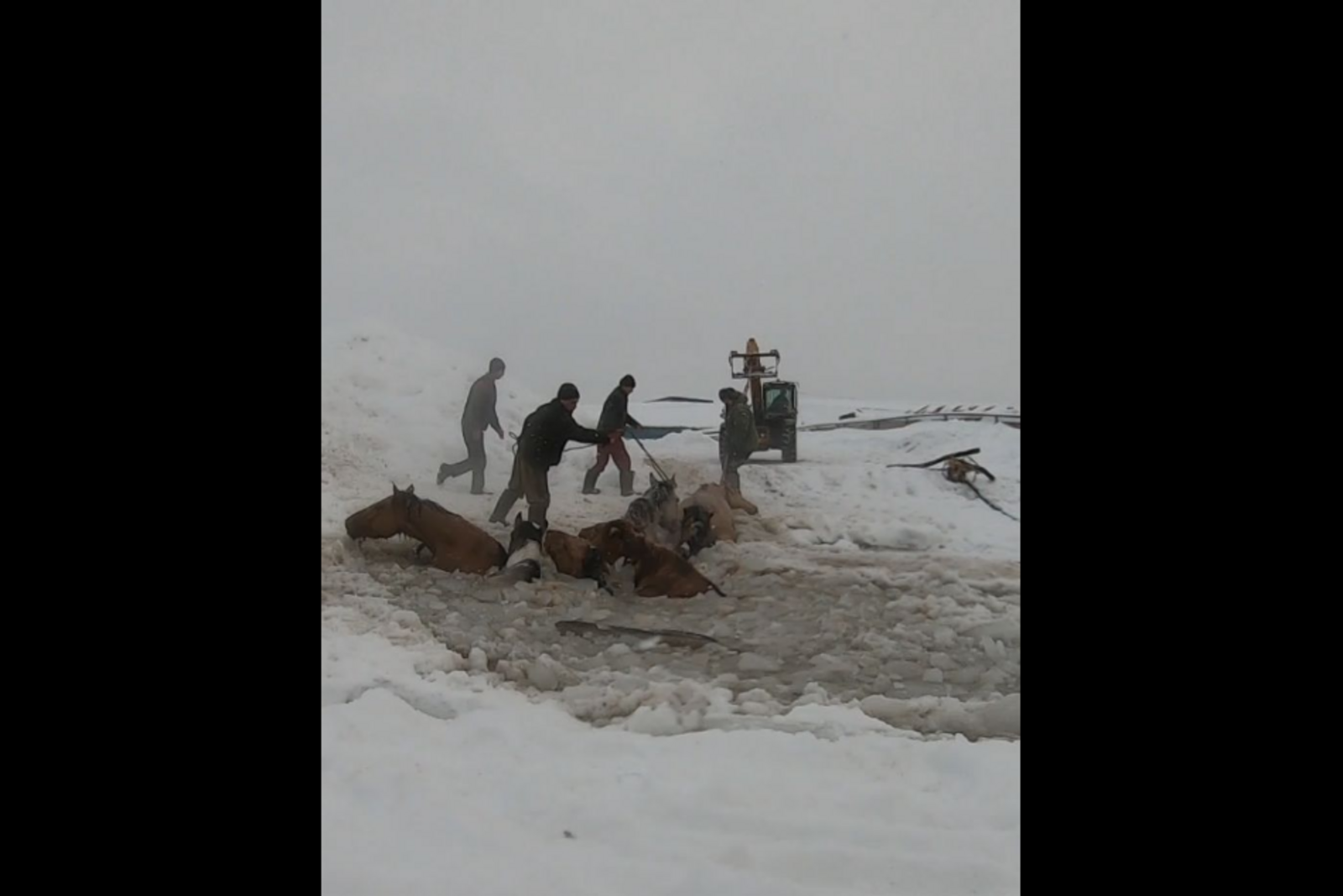 Скриншот видео