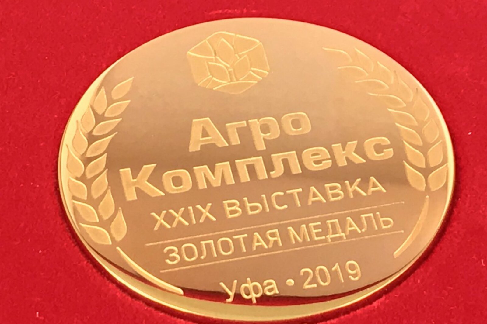 БашНИИСХ