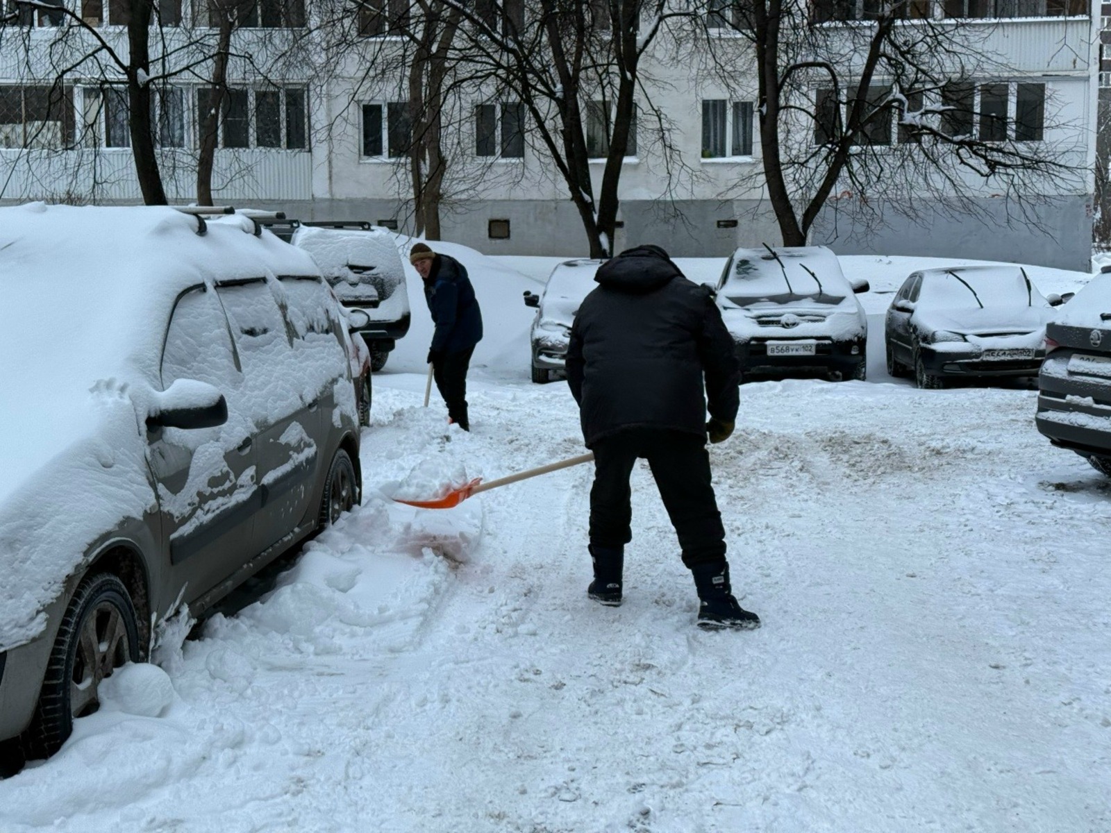 Антон Тарасов соцсети