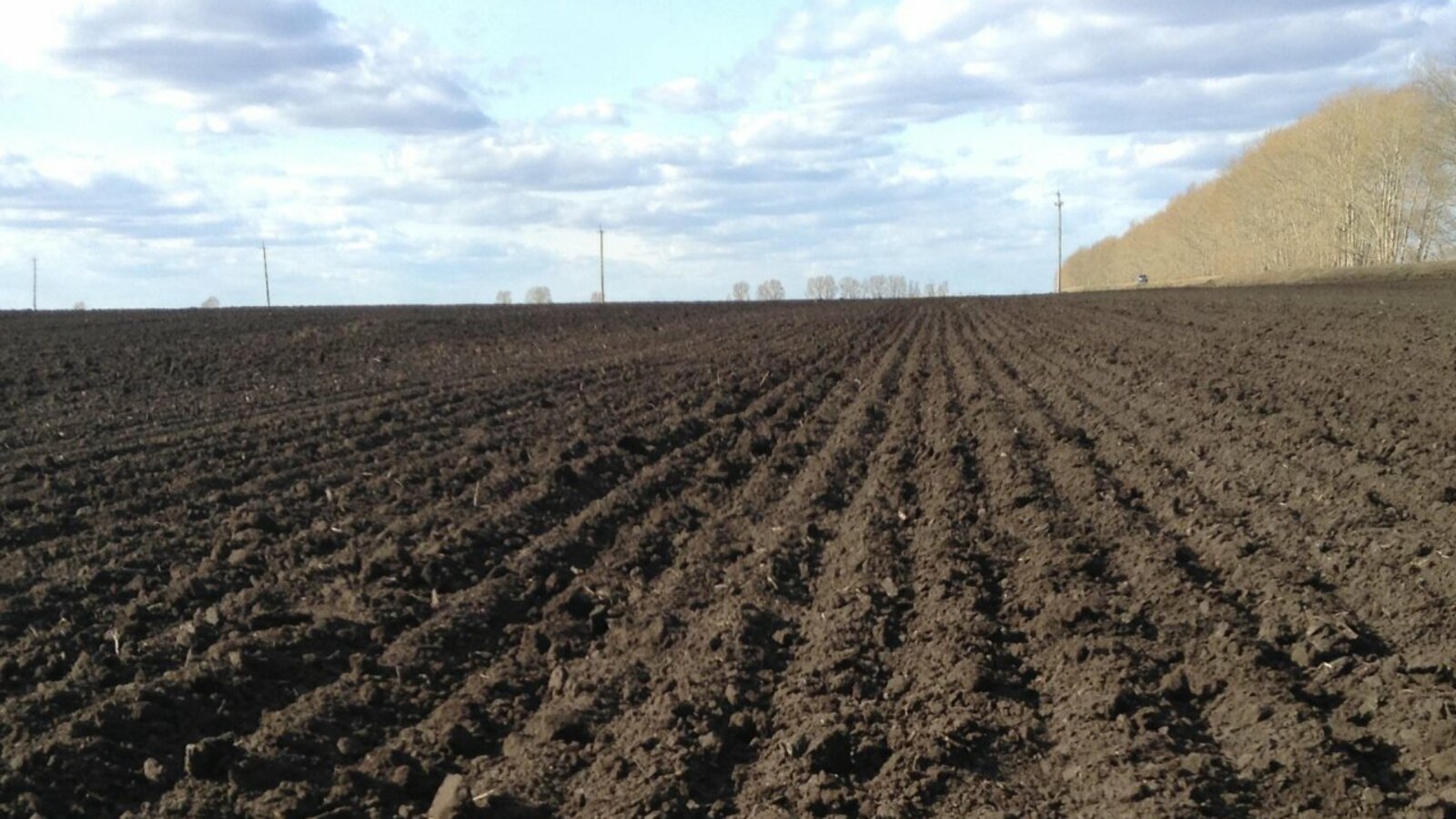 Розалия Валеева, пресс-служба Минсельхоза Башкирии