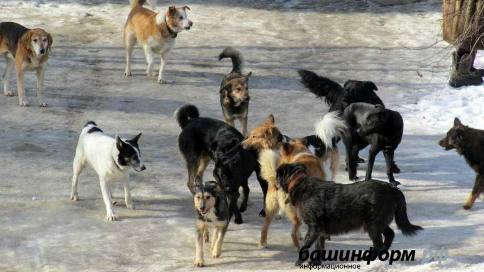 ИА «Башинформ»