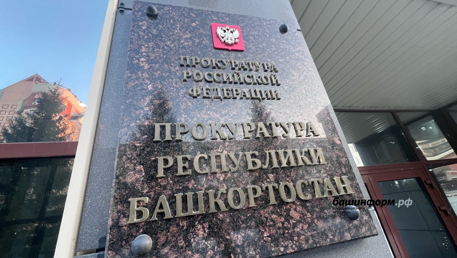 Ксения Калинина