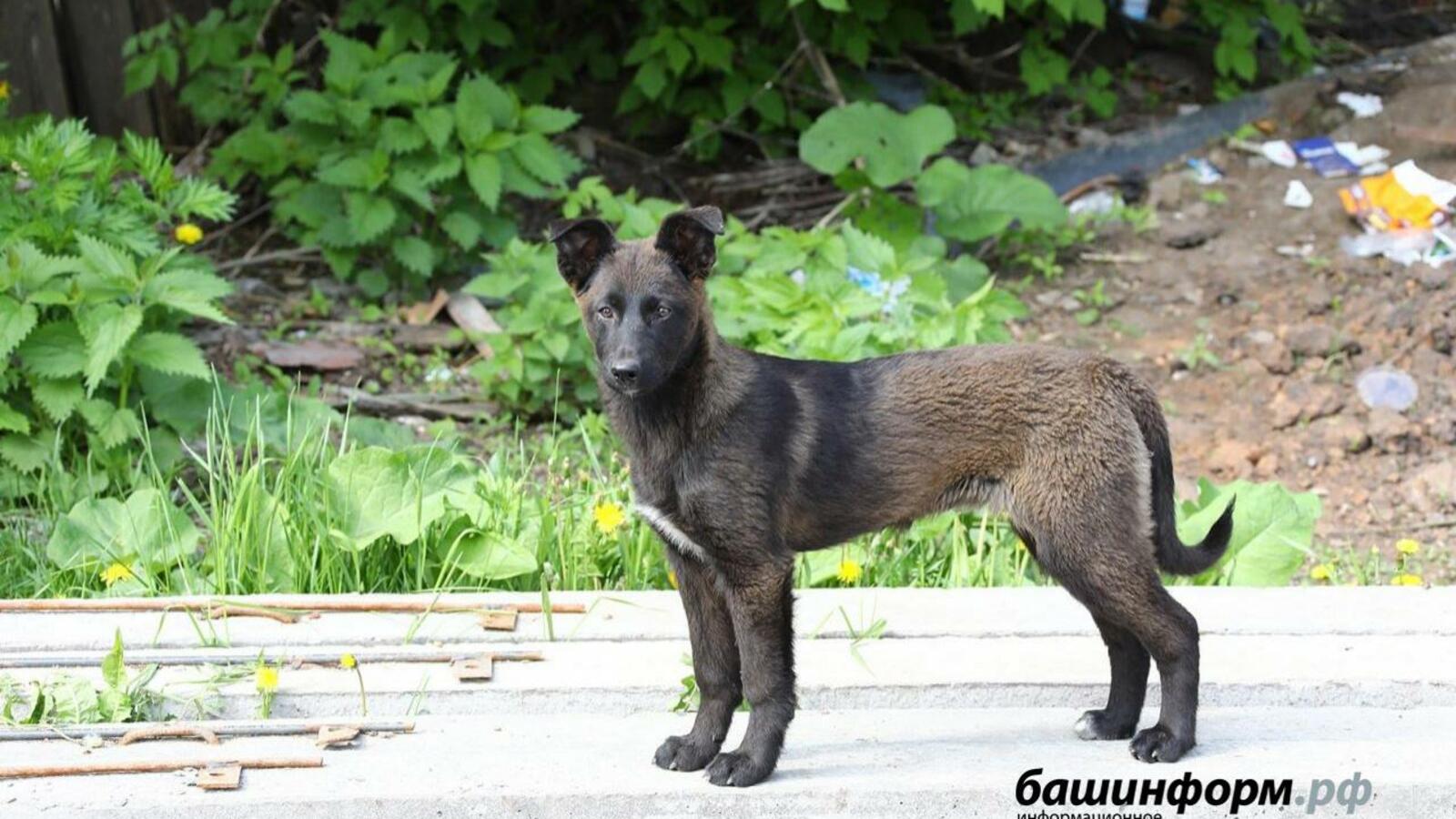 Валерий Шахов