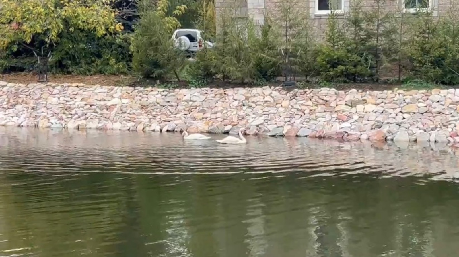 Скриншот видео