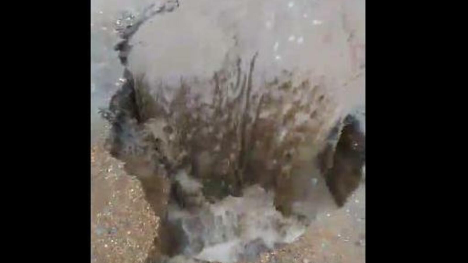 скриншот видео Никиты Ермолаева