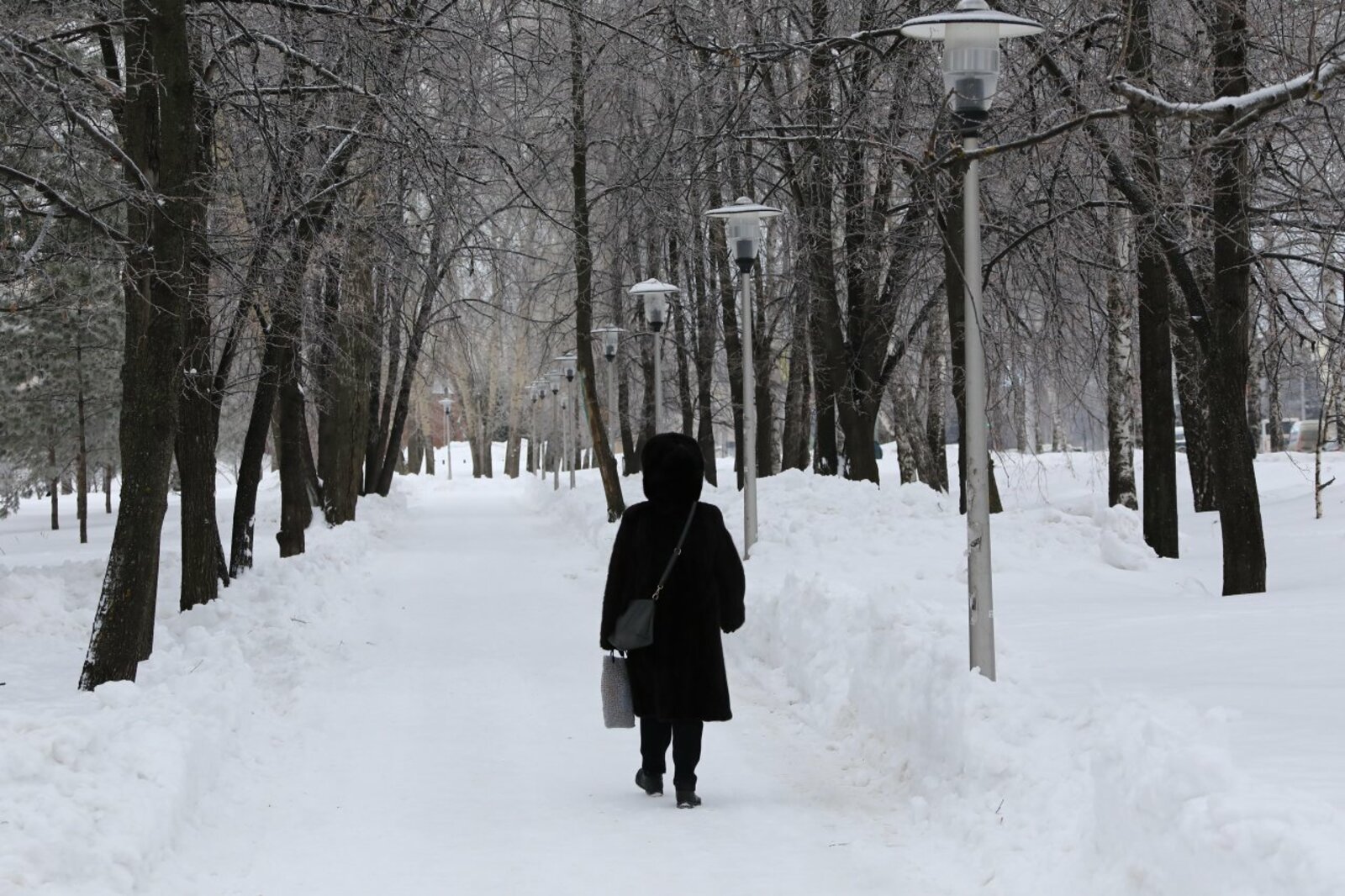 Валерий Шахов