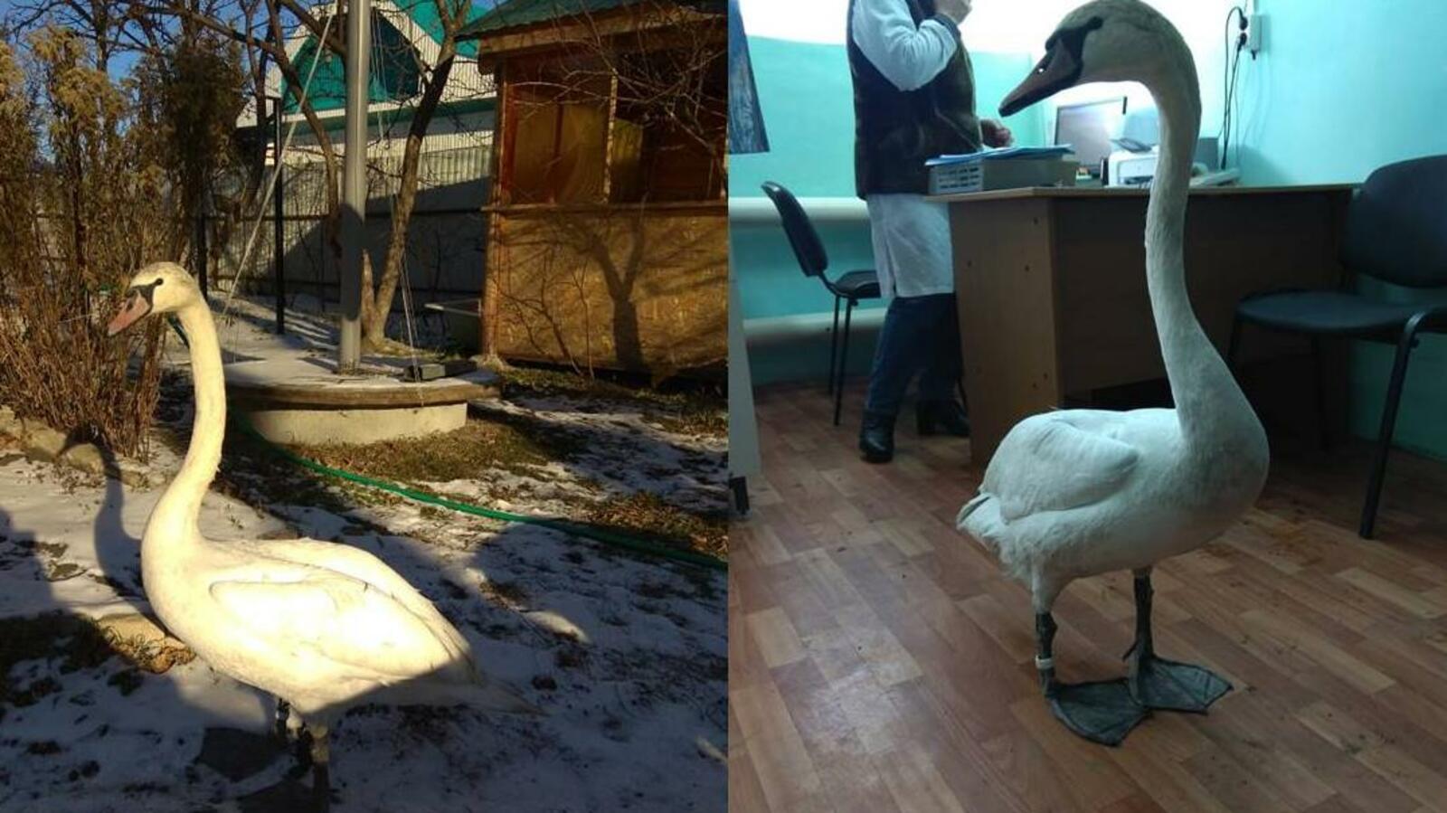 пресс-служба Минэкологии РБ