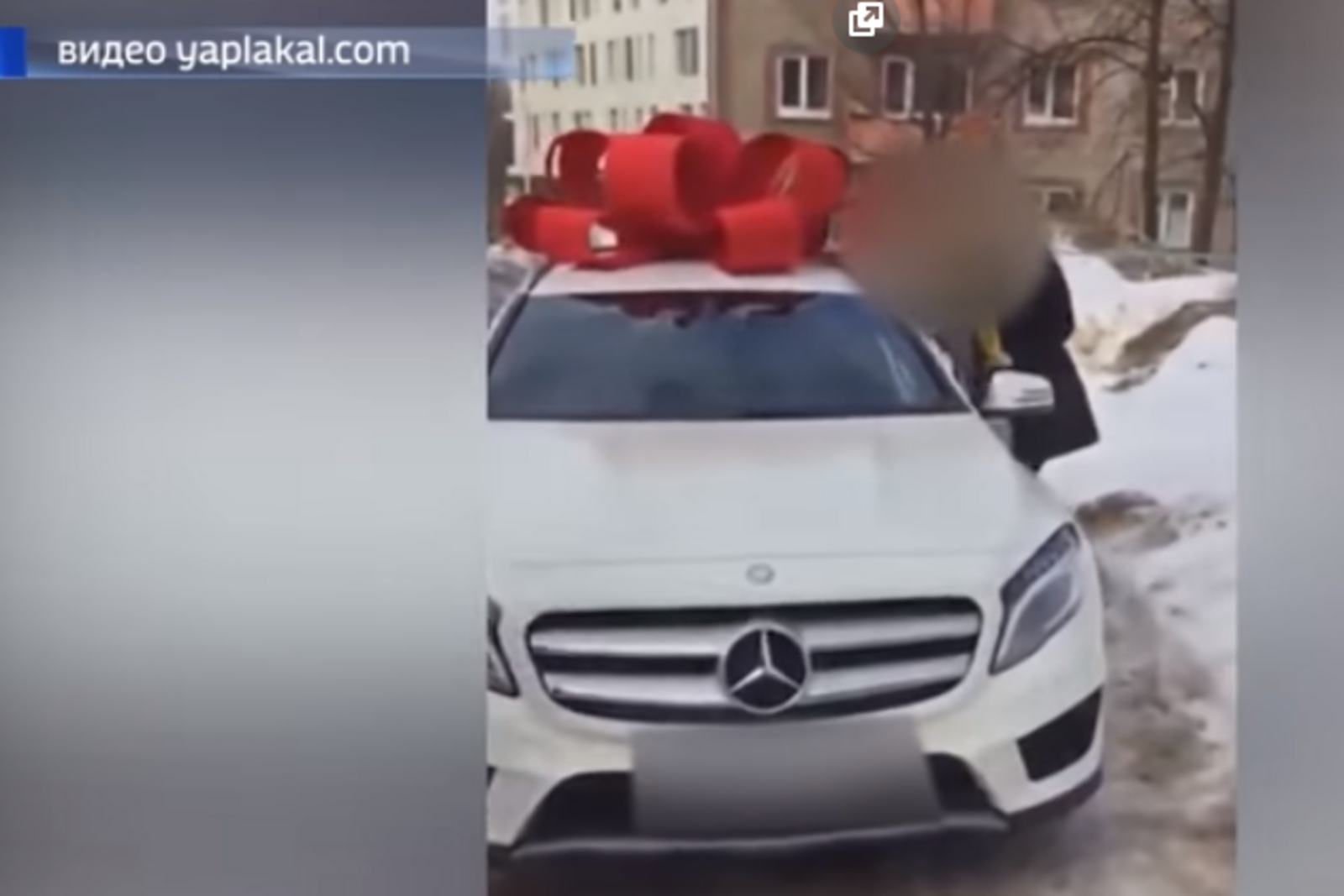 скриншот видео