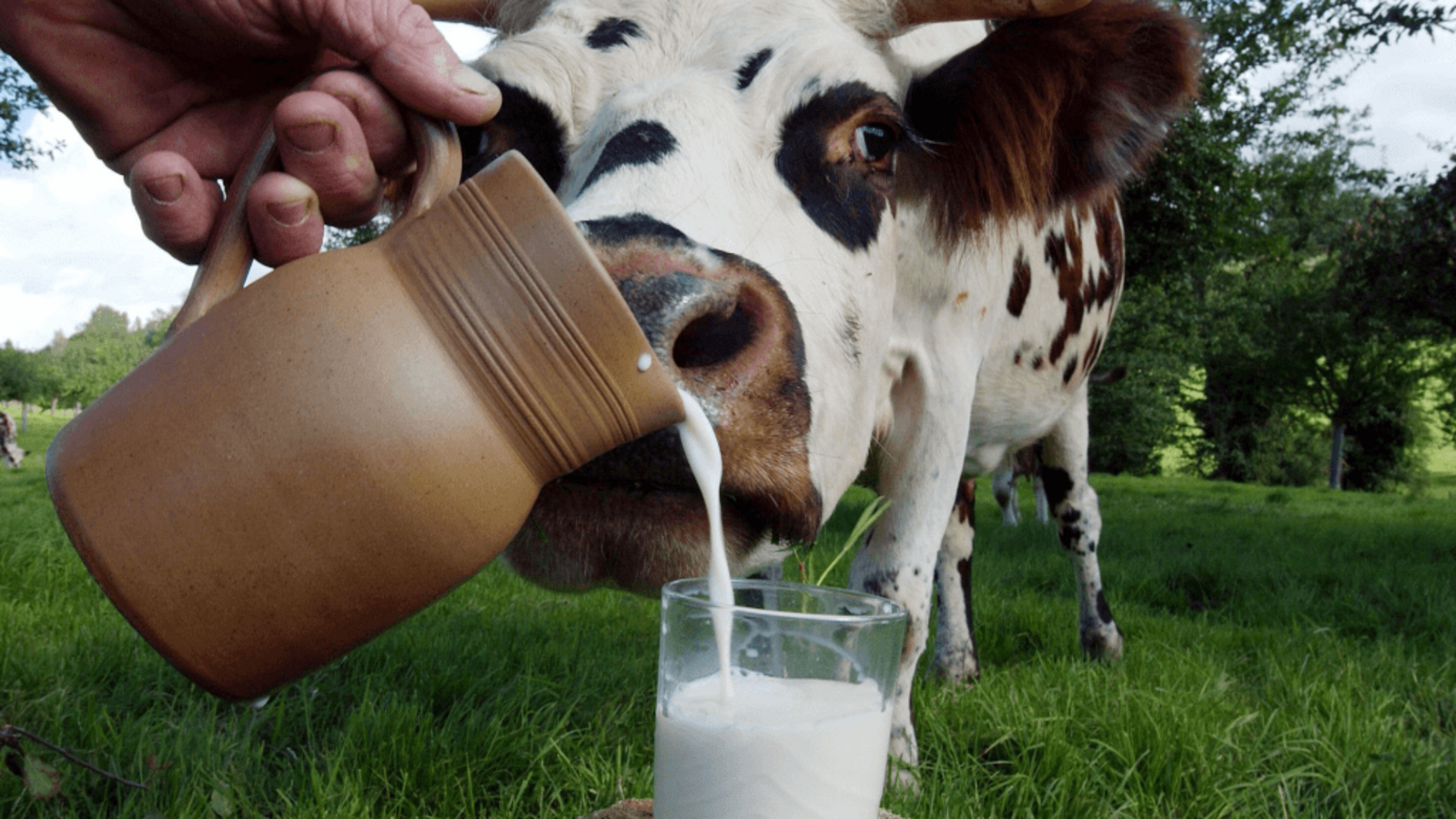 пресс-служба Минсельхоза РБ