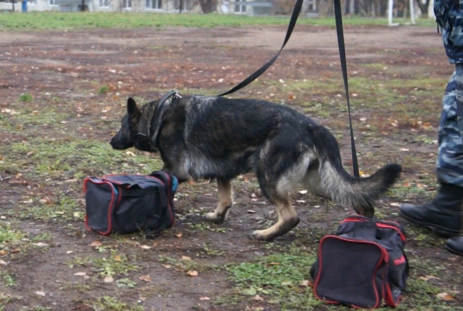 МВД  по РБ