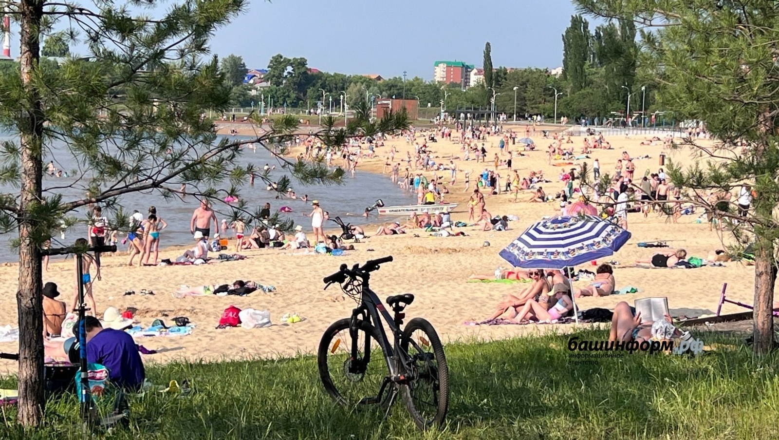 Ксения Калинина