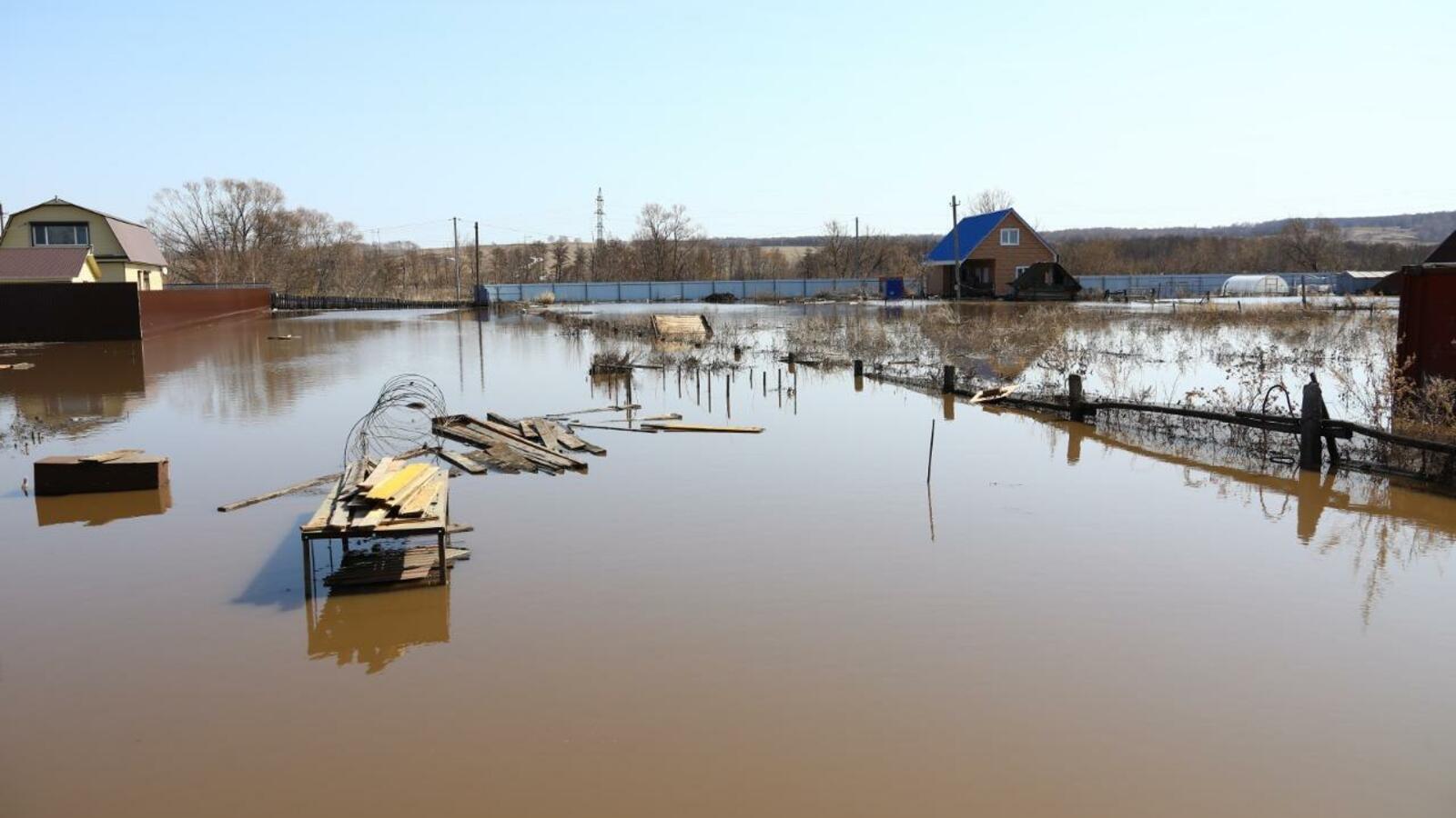 Валерий Шахов