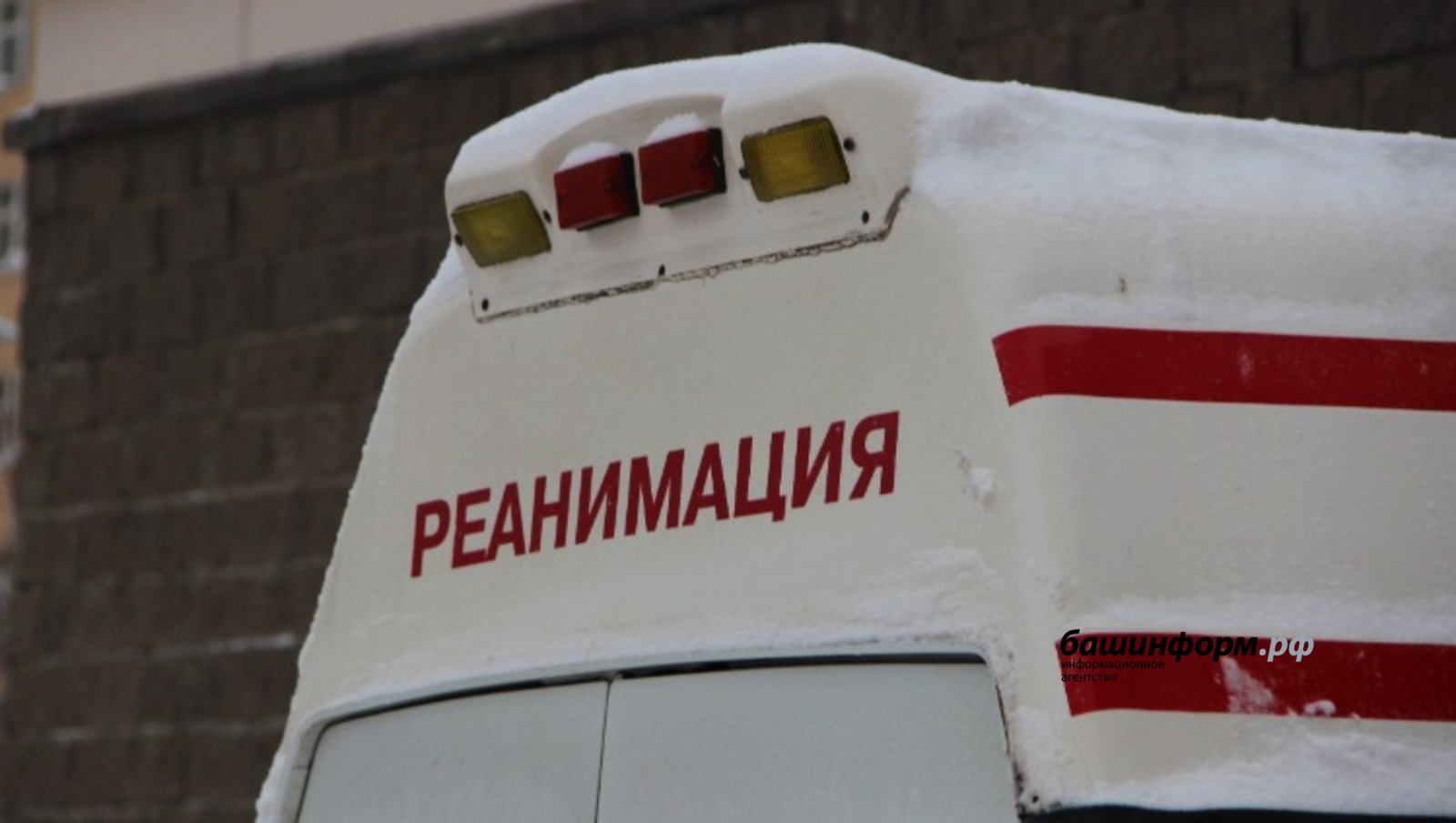 Ксения Калинина