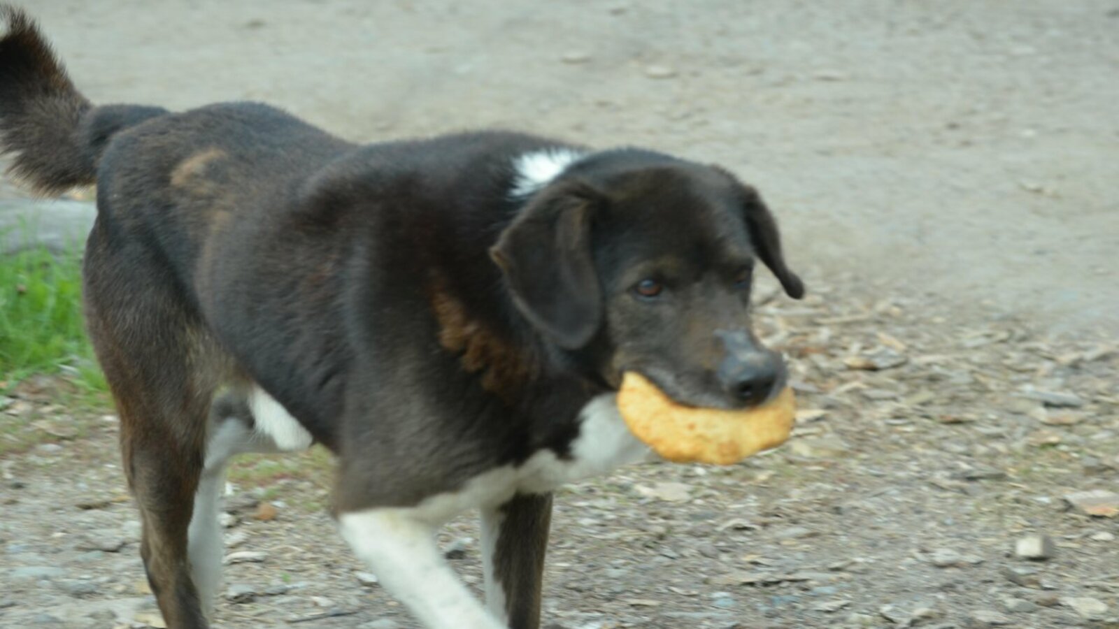 Ксения Калинина