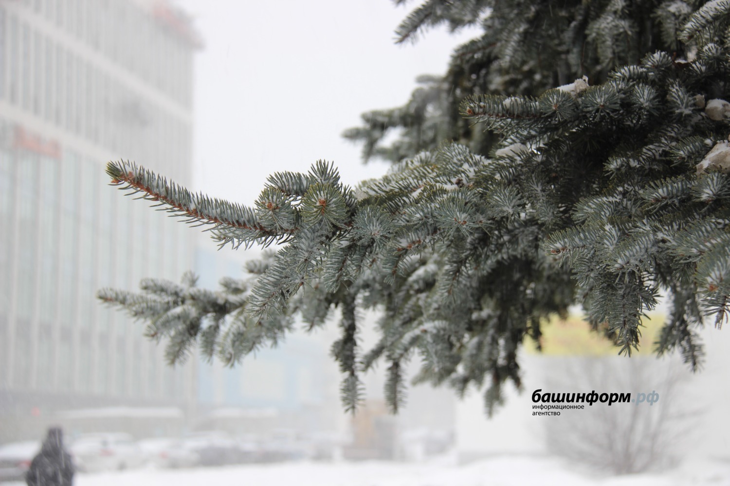 Эдуард Кускарбеков ИА Башинформ