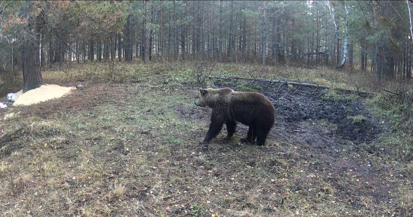 скриншот видео пресс-служба минэкологии РБ