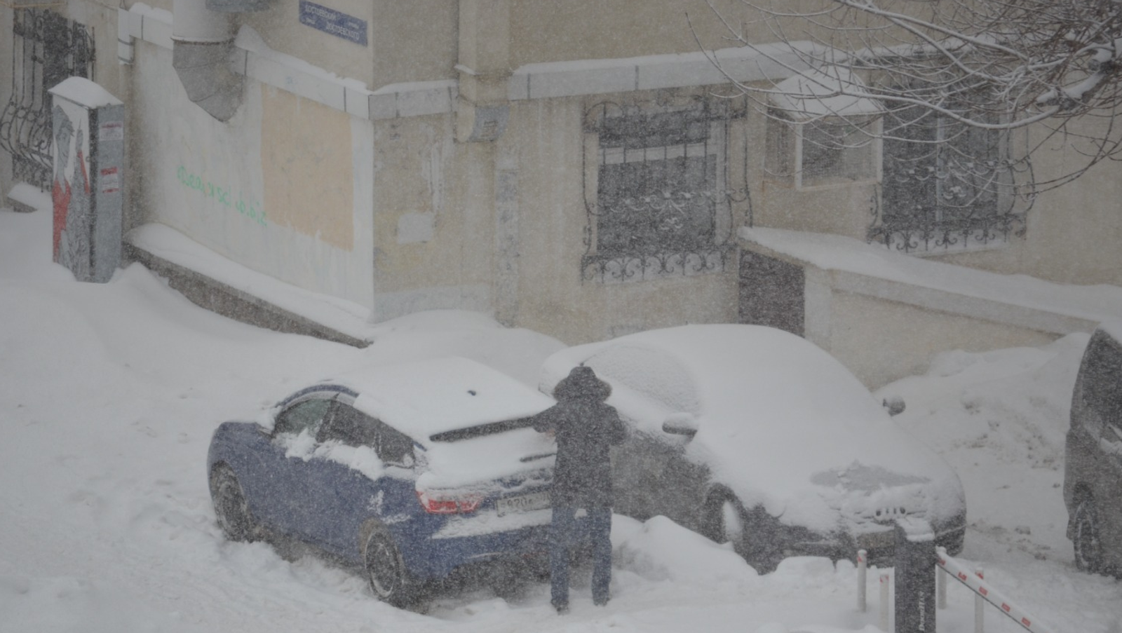 Ксения Калинина