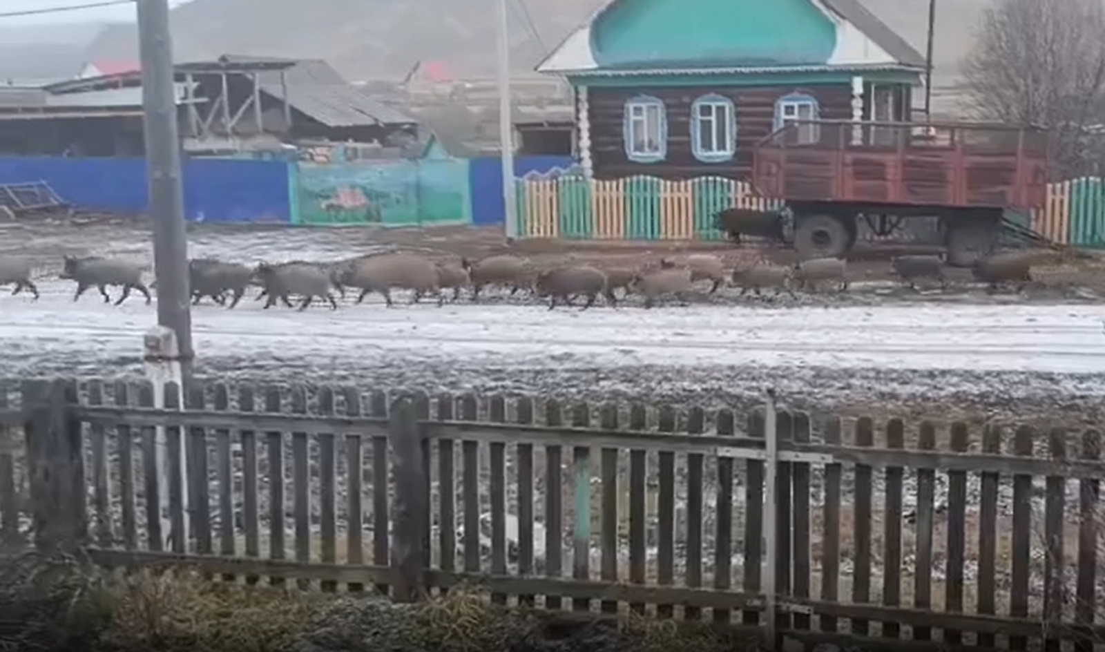 видеонан скриншот / Рәхилә Вәлиева