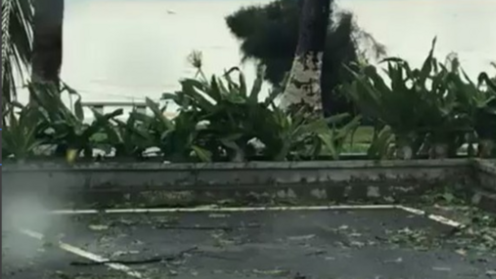 Алена Клименко