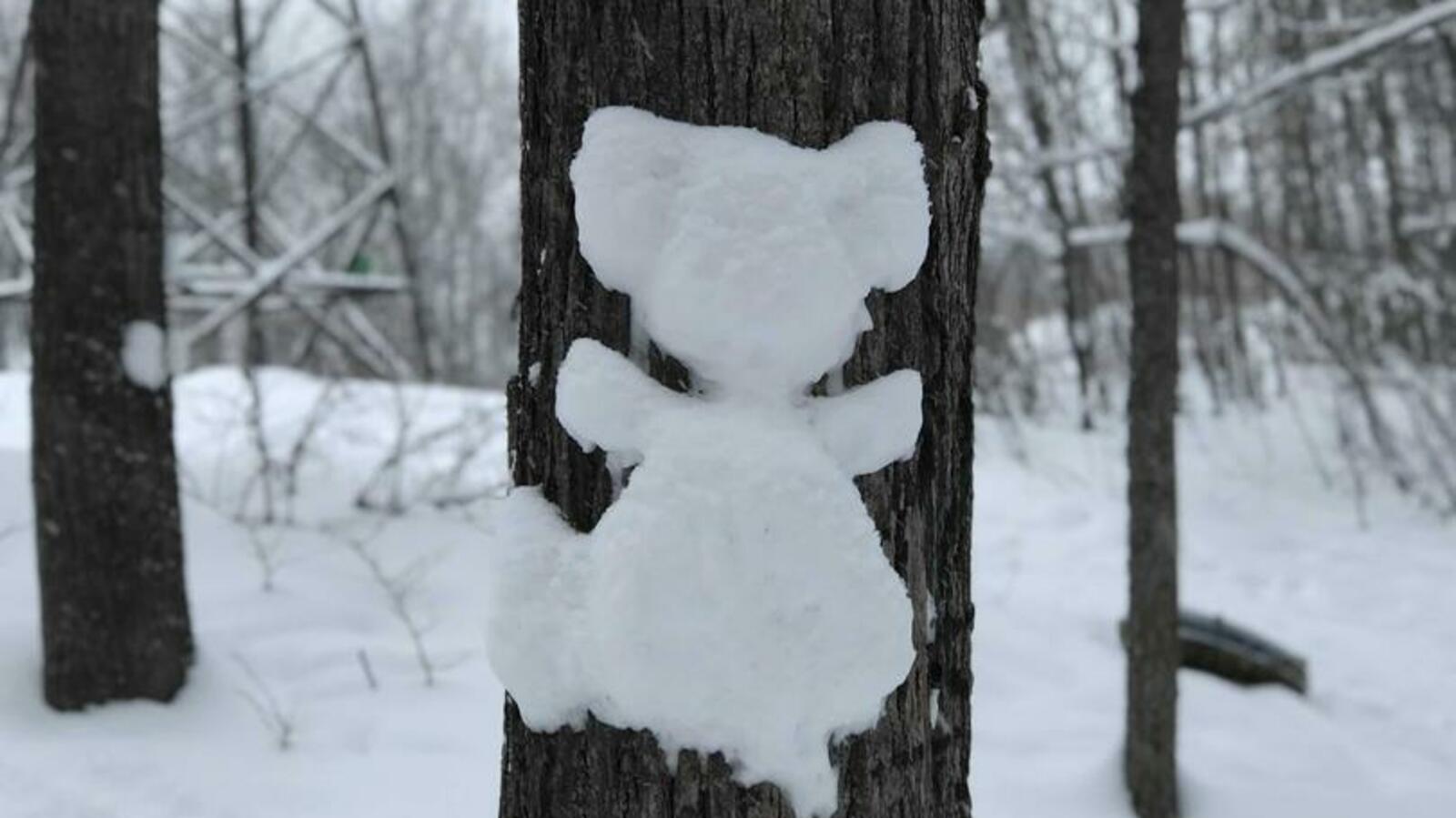 Ксения Калинина