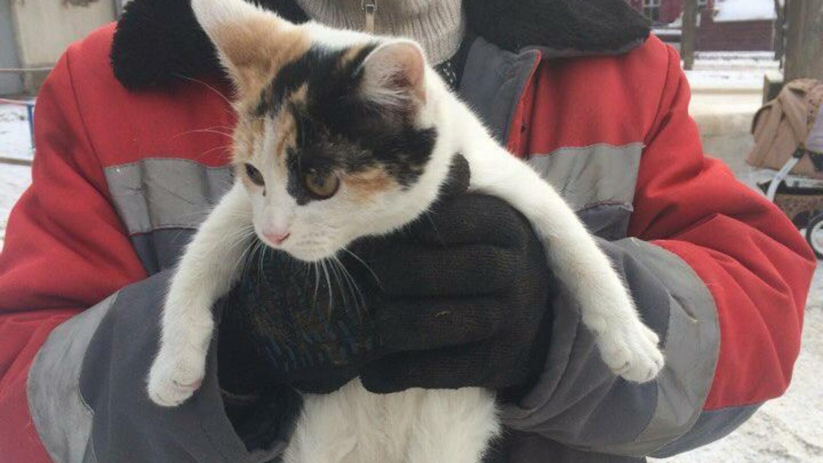 БашДТП/Ильдар Хасанов