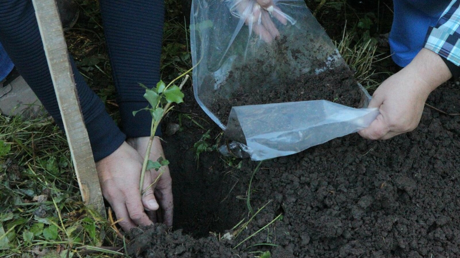 Олег Яровиков