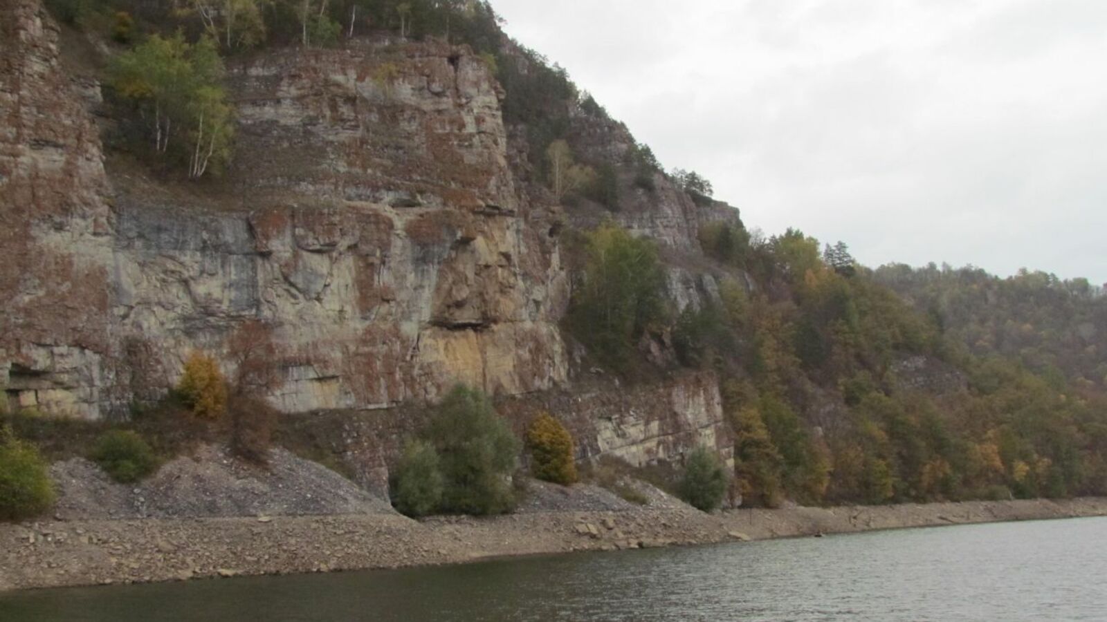 Олеся Арамелева, Евгения Сюткина