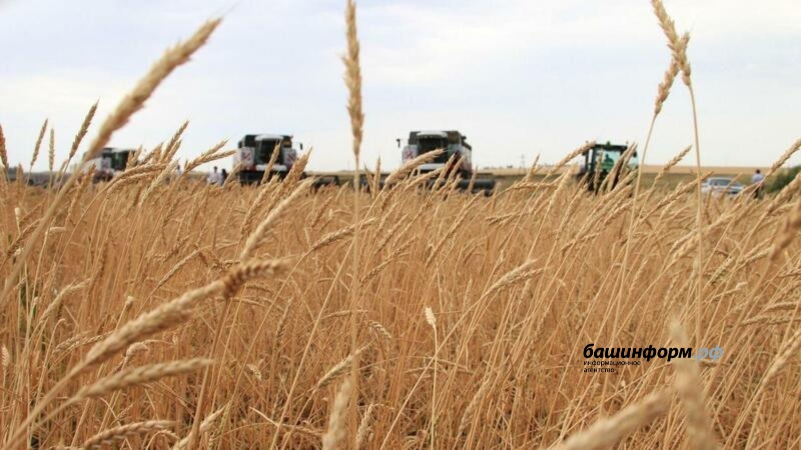 Олег Яровиков / «Башинформ» агентлығы архивы