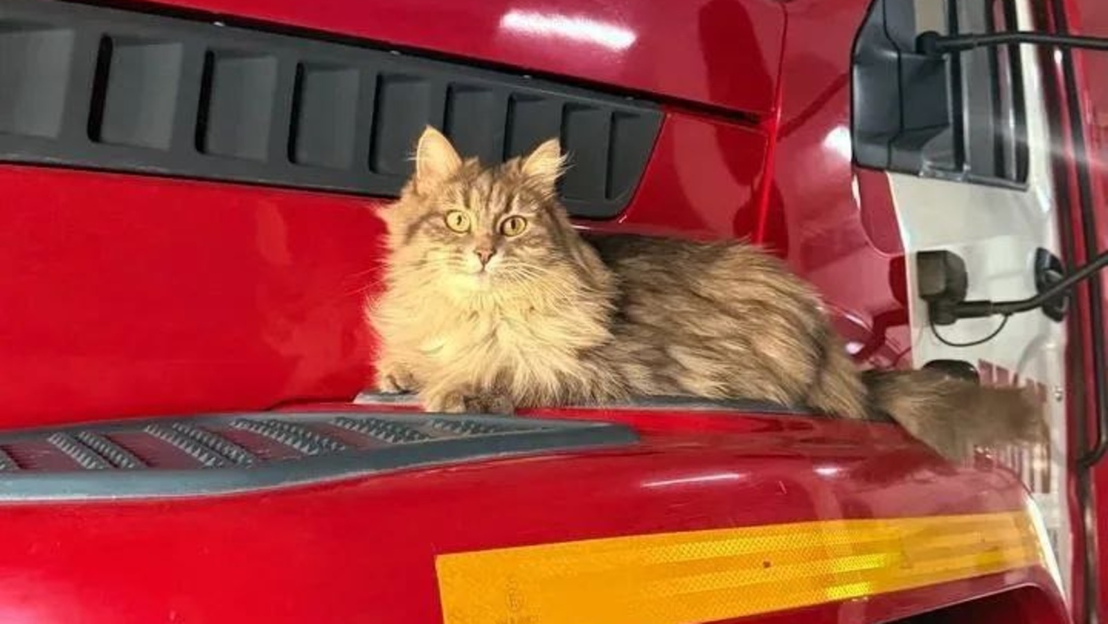 Госкомитет РБ по ЧС ТГ-канал