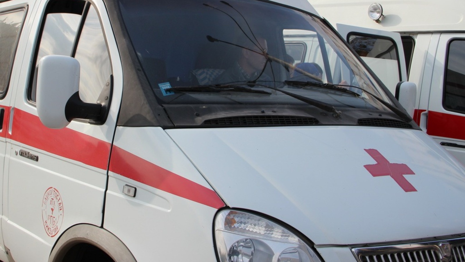 Ксения Калинина