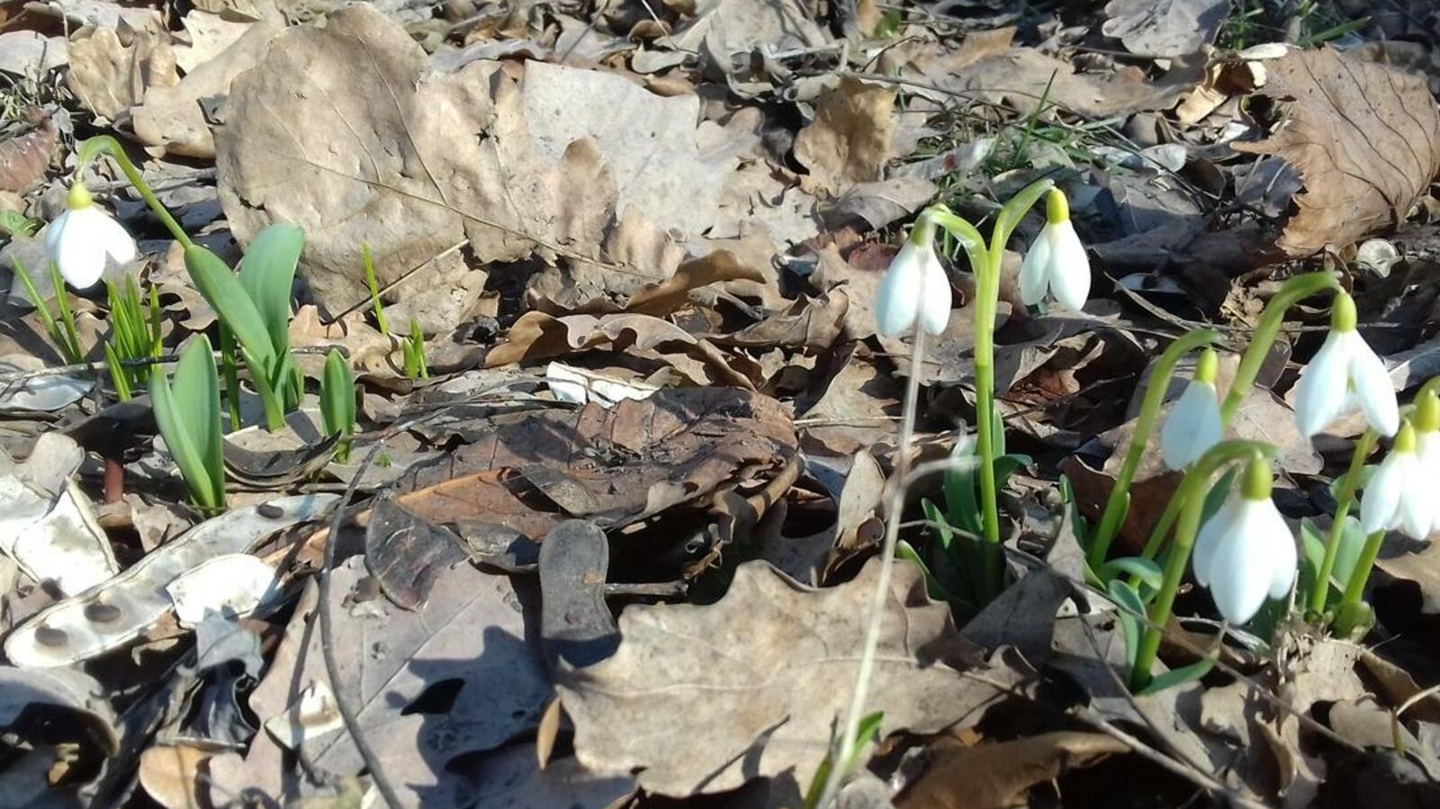 Надежда Рязанова