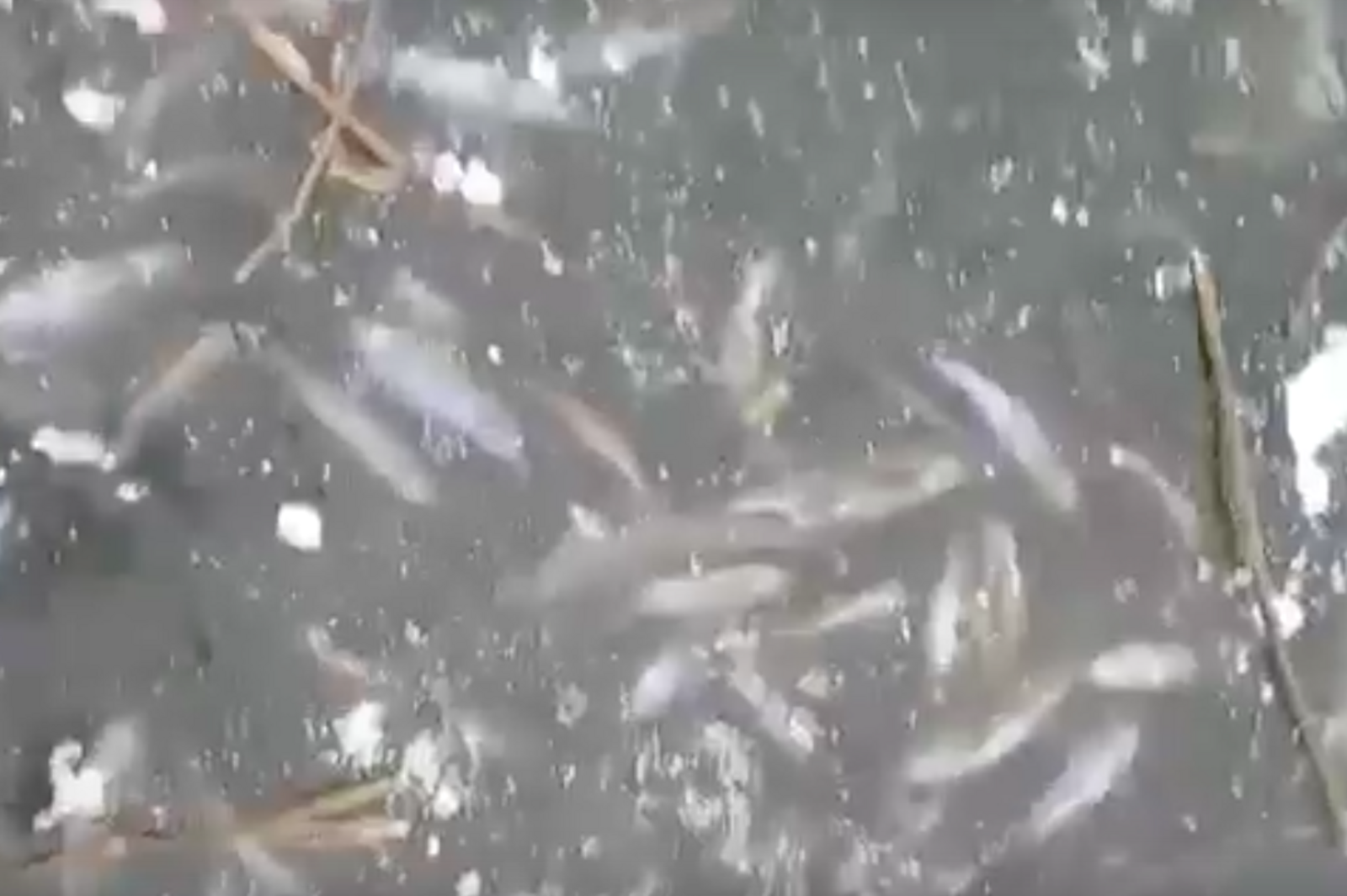 соцсети