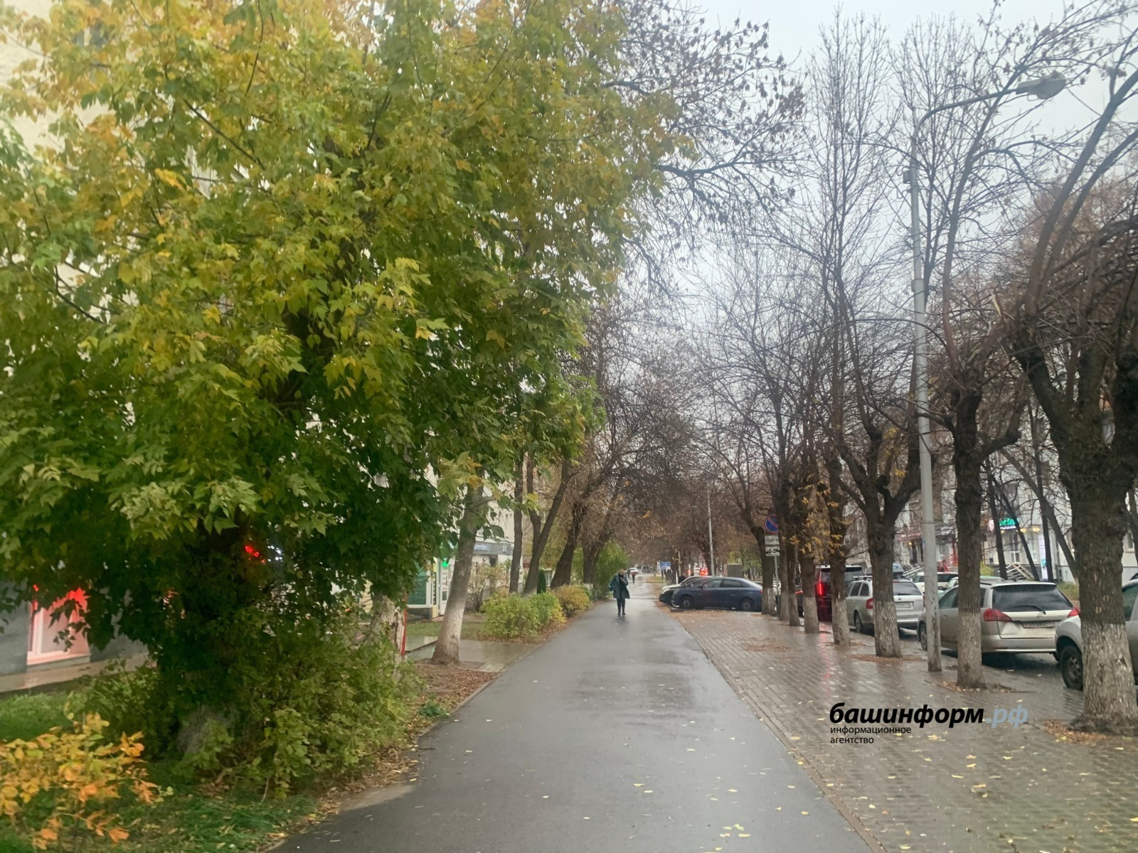 Галина Бахшиева