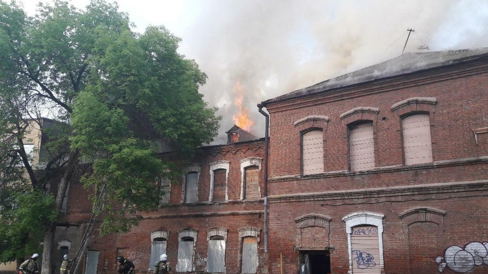 Ксения Калинина