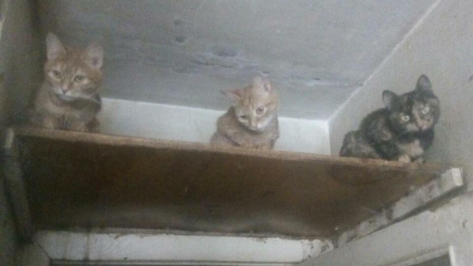 УФССП по РБ