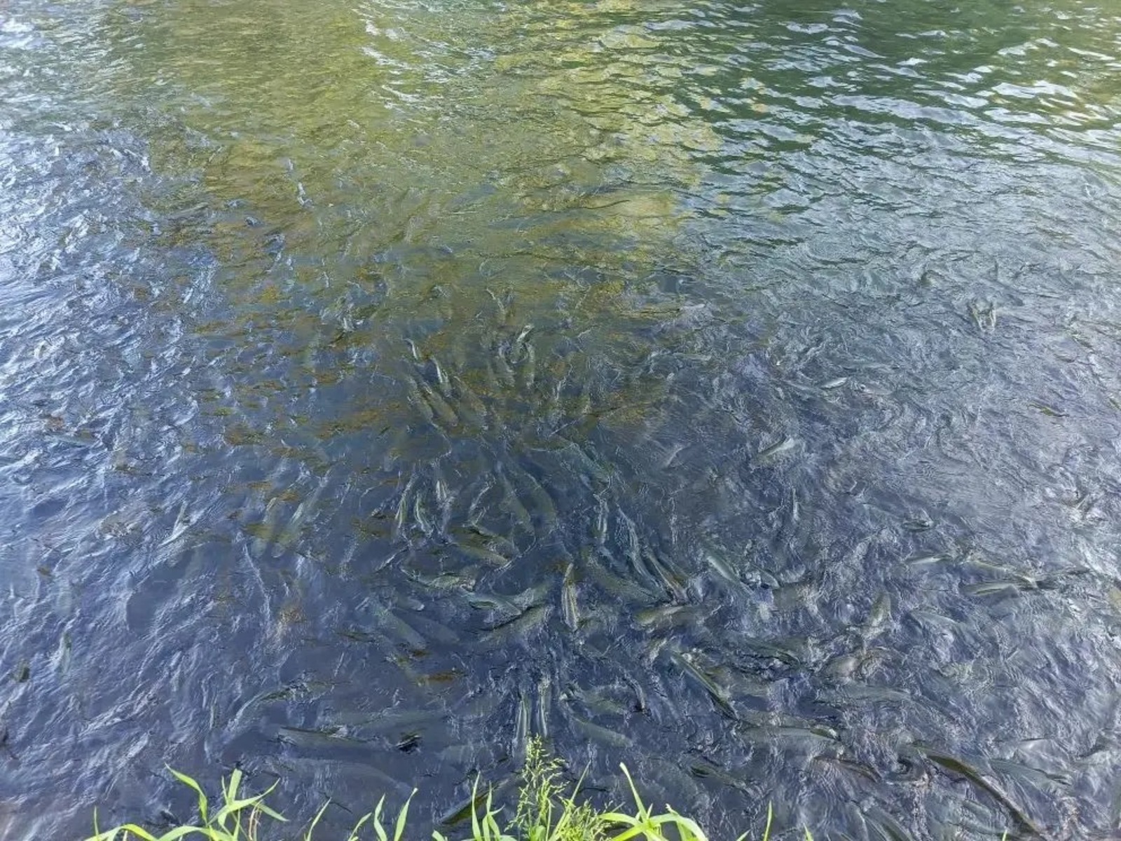 Олеся Васильева ИА "Башинформ"