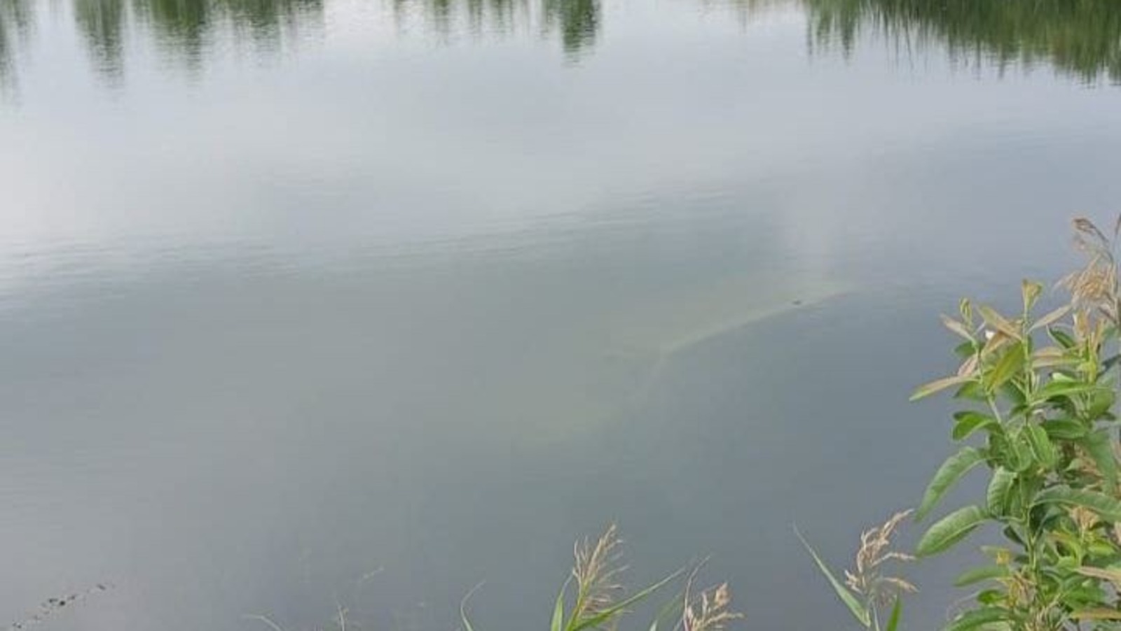 ГИБДД по РБ