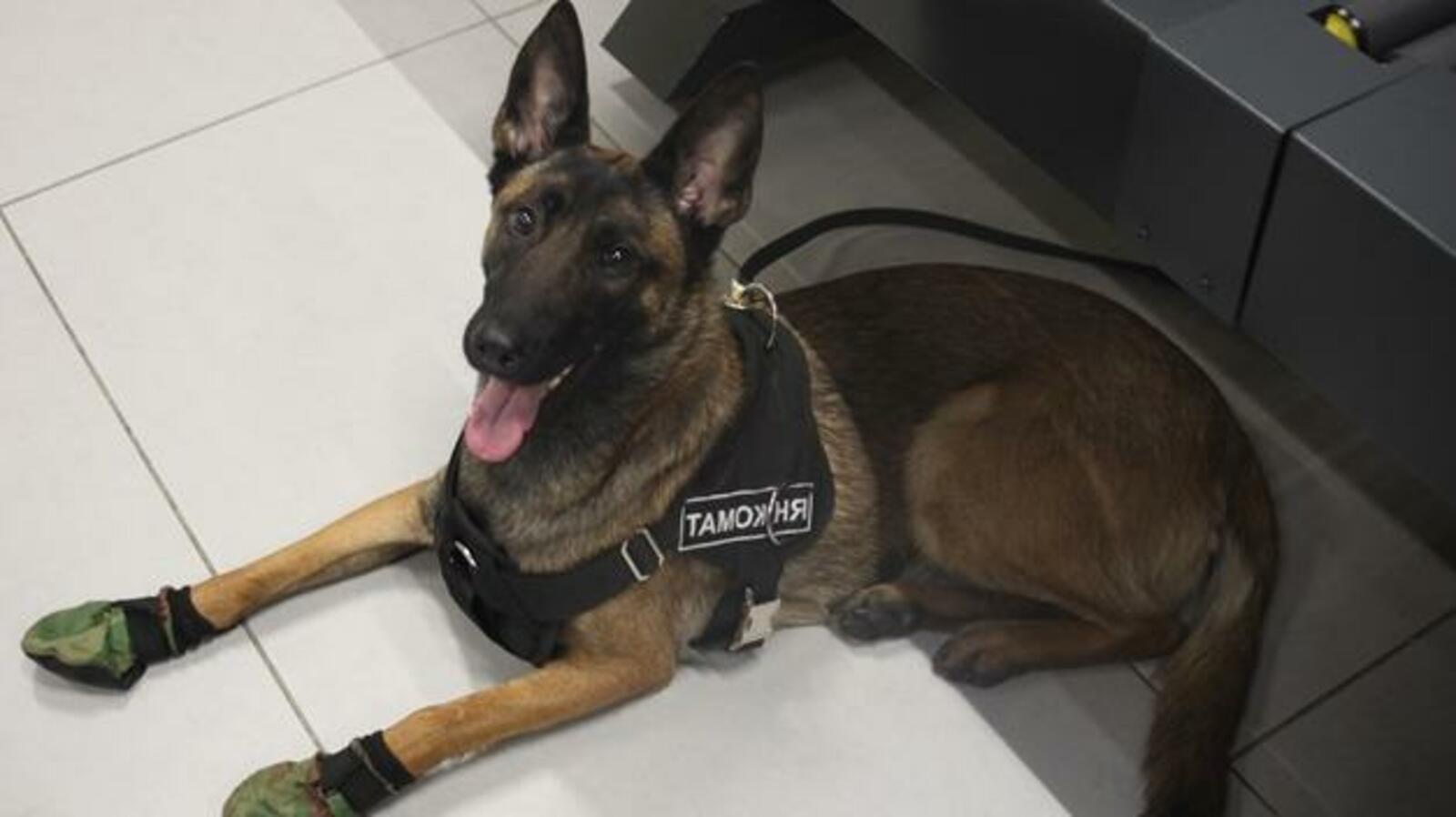 Башкортостанская таможня