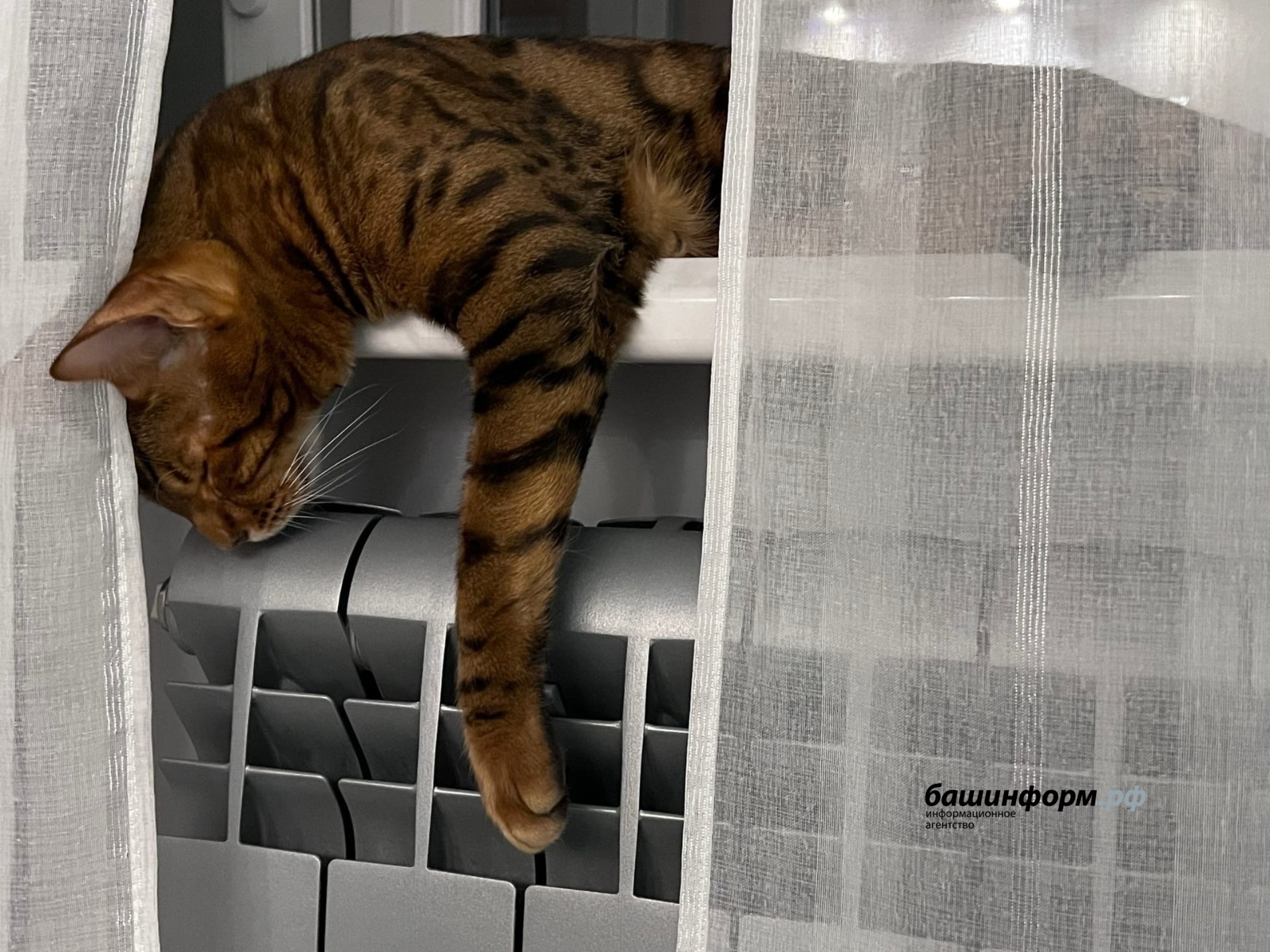 Ксения Калинина архив ИА «Башинформ»