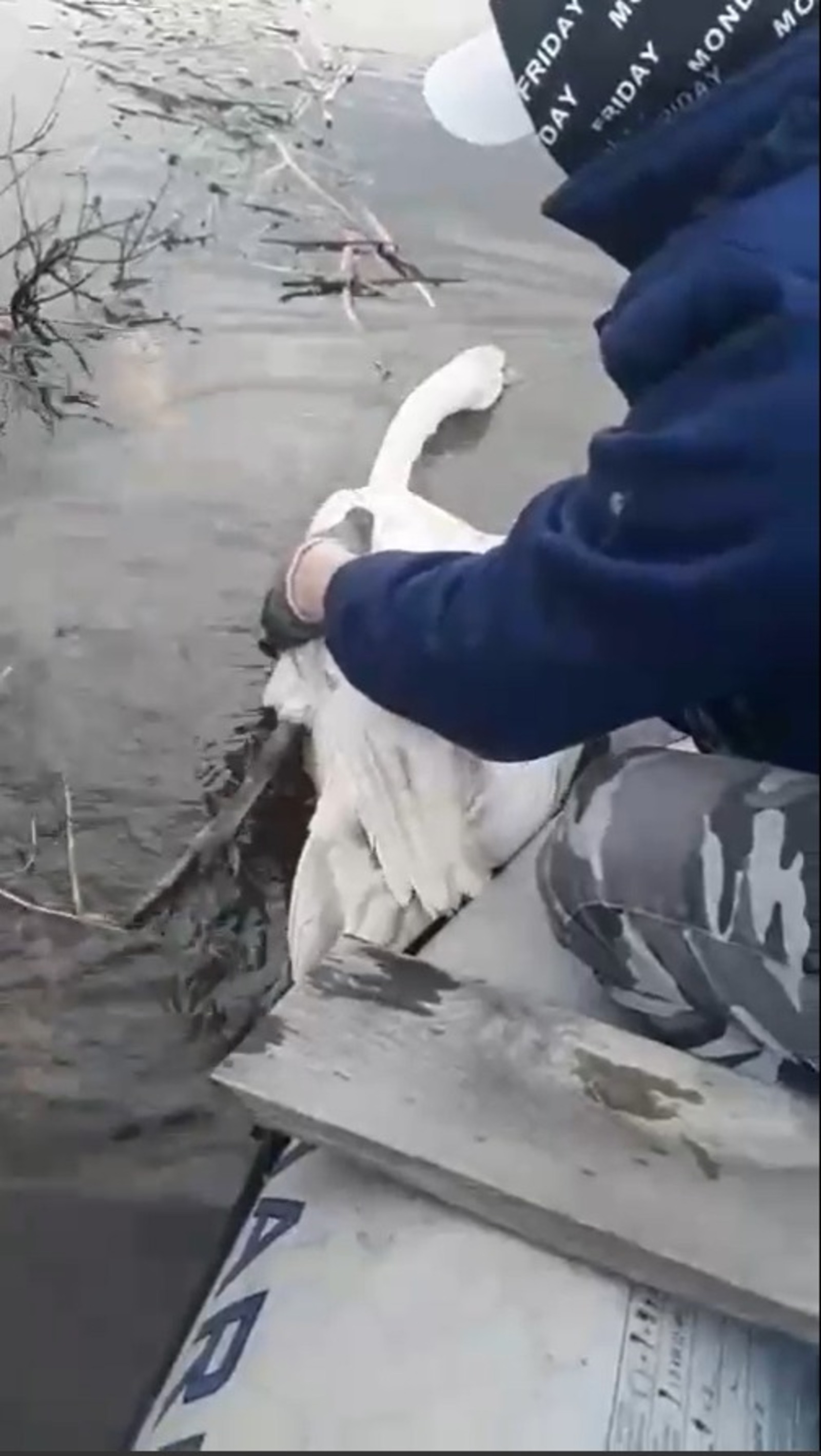 скриншот видео