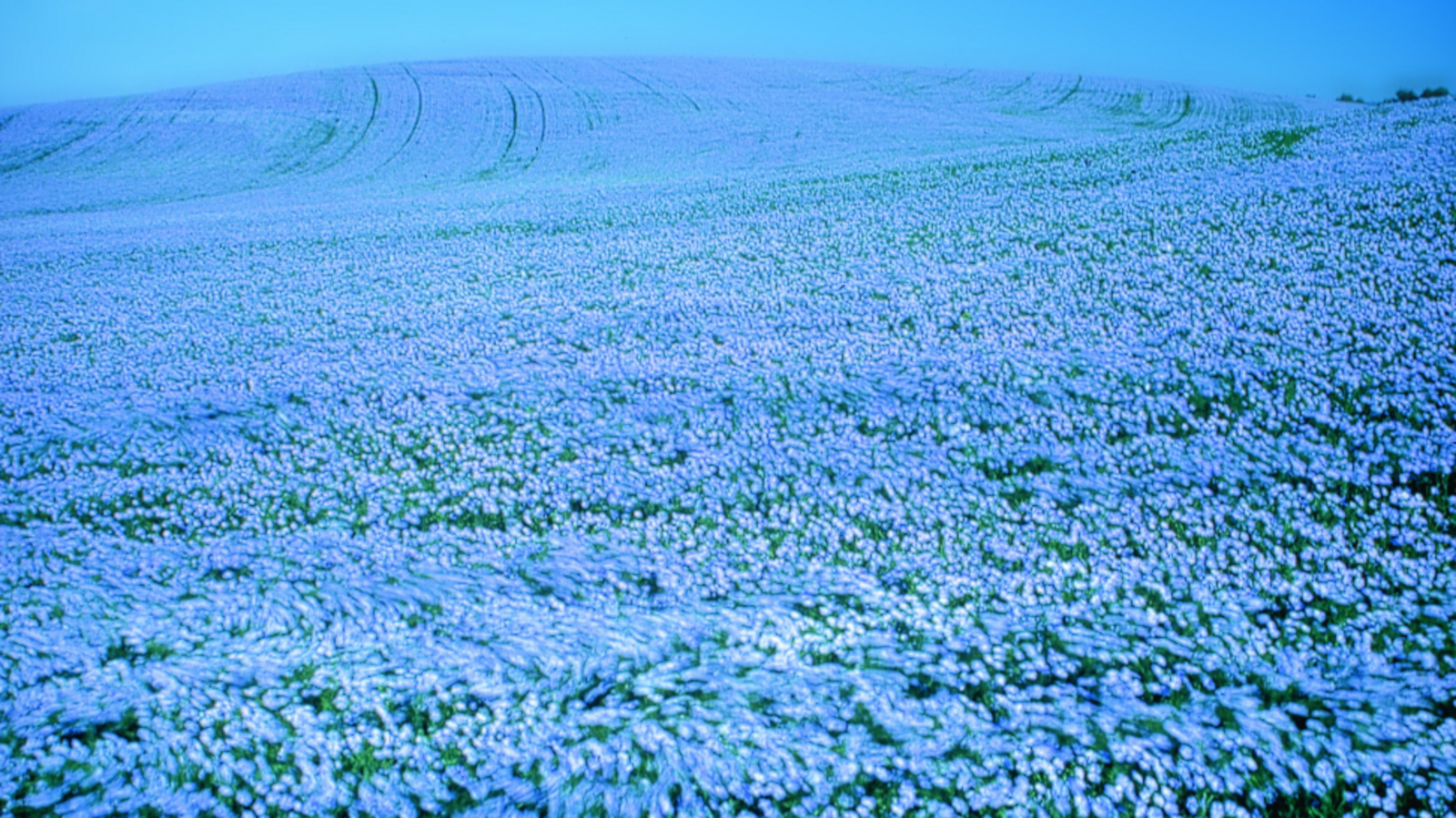 Минсельхоз РБ