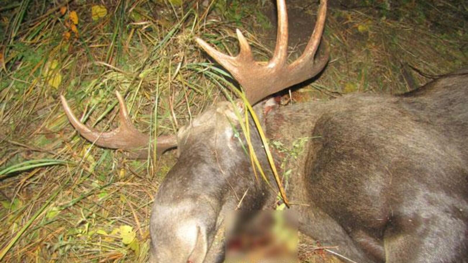 пресс-служба МВД по РБ