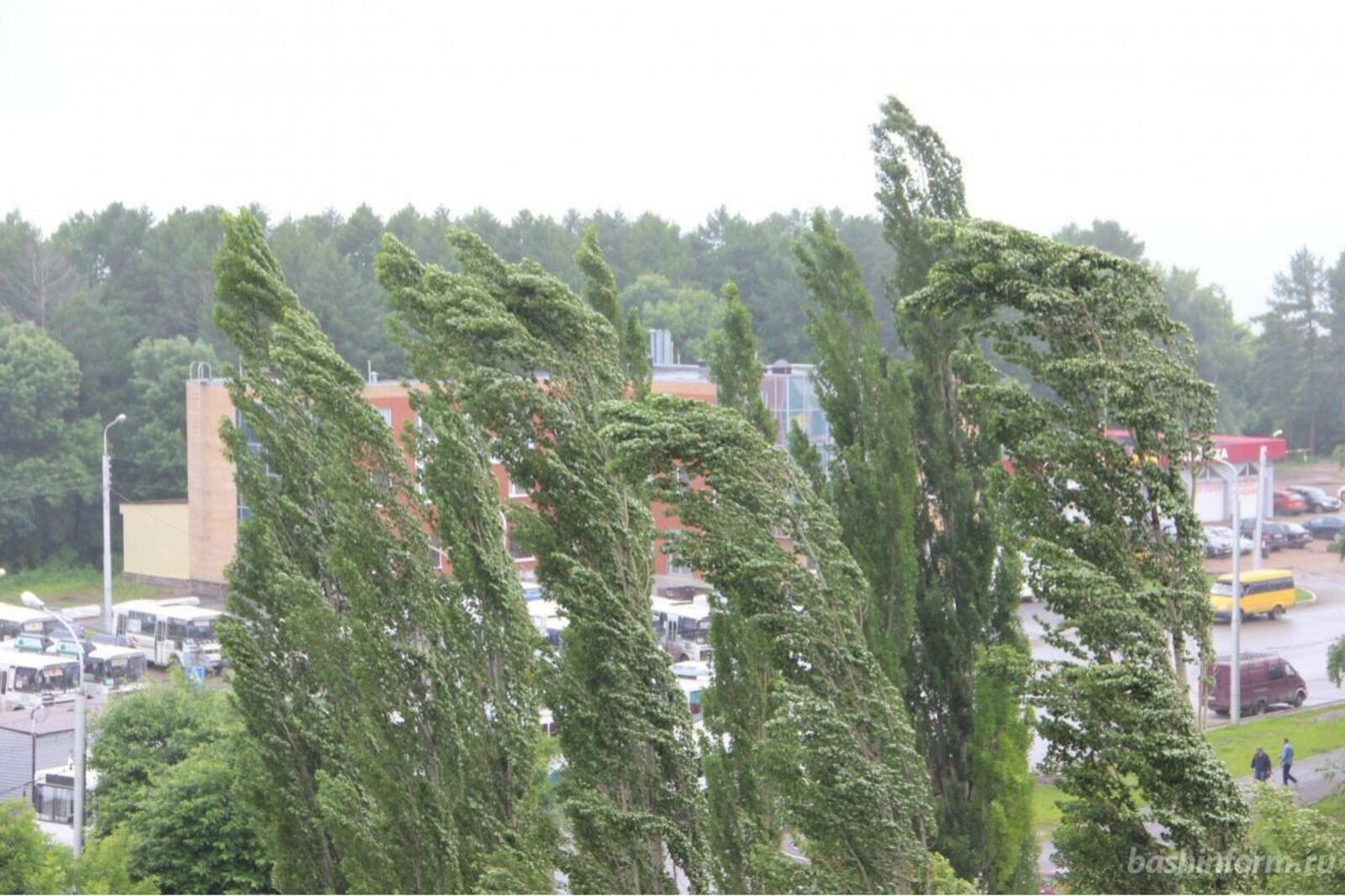 Ксения Калинина