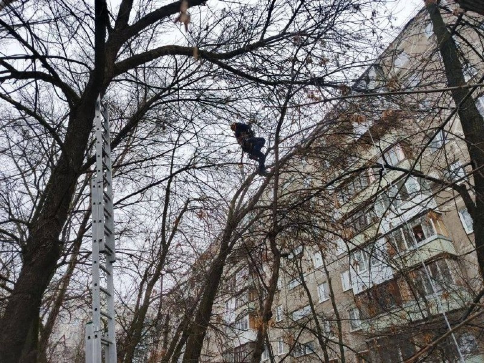 УГЗ по Уфе телеграм