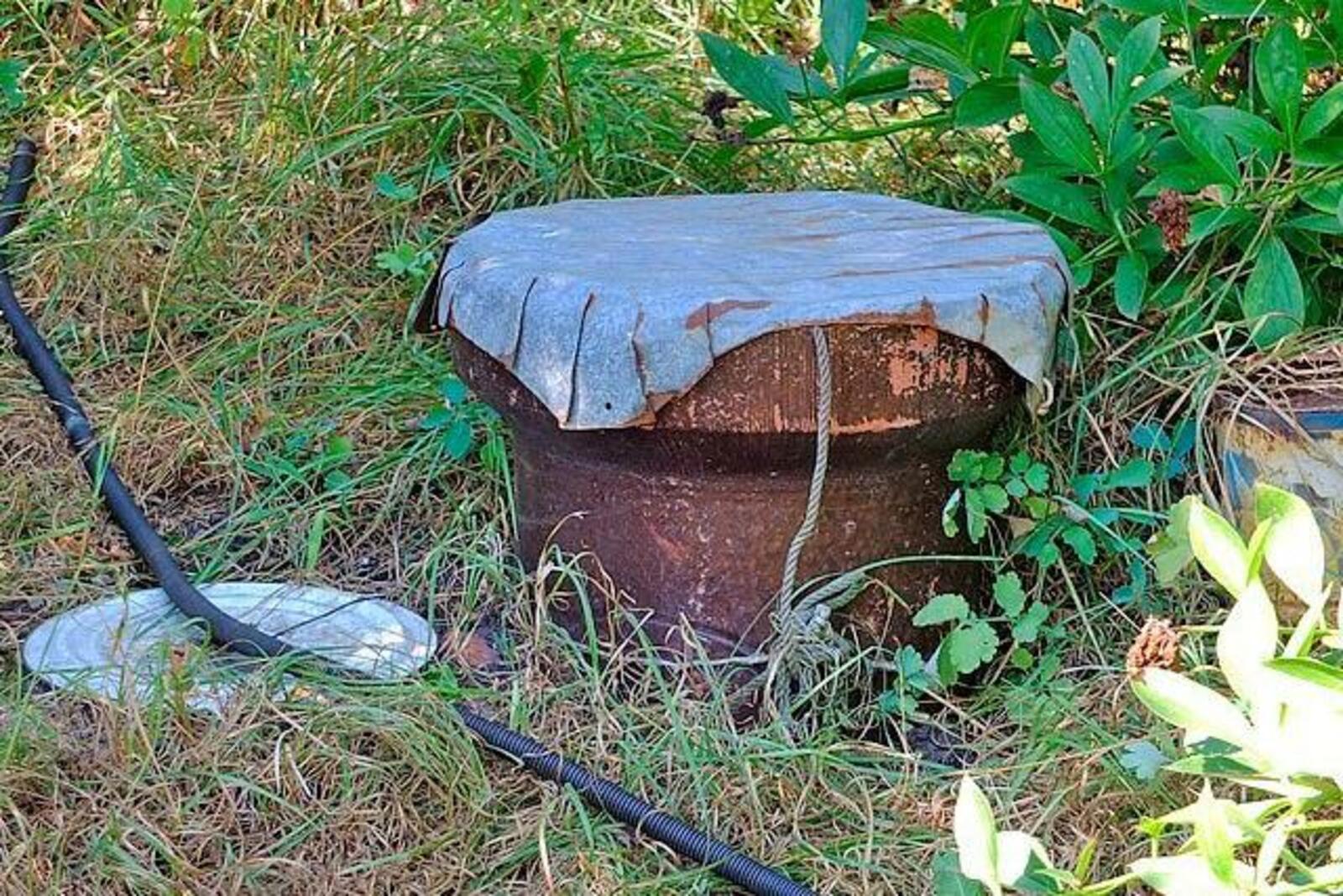 1dacha-sad.com