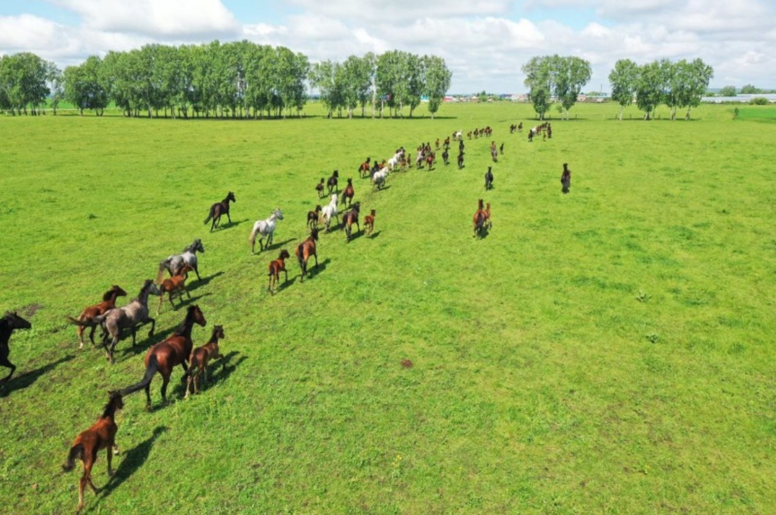 телеграм-канал Радия Хабирова