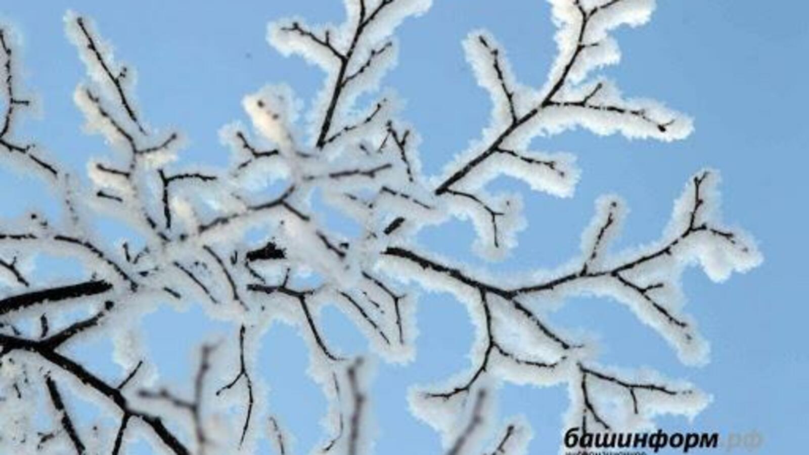 ИА «Башинформ»