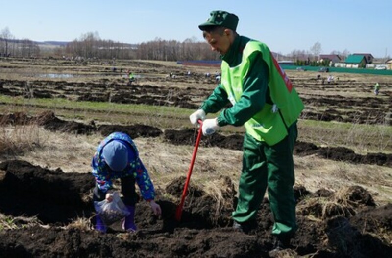В Республике Башкортостан дан старт Международной акции «Сад памяти»